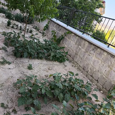 Caglayan Taskonak